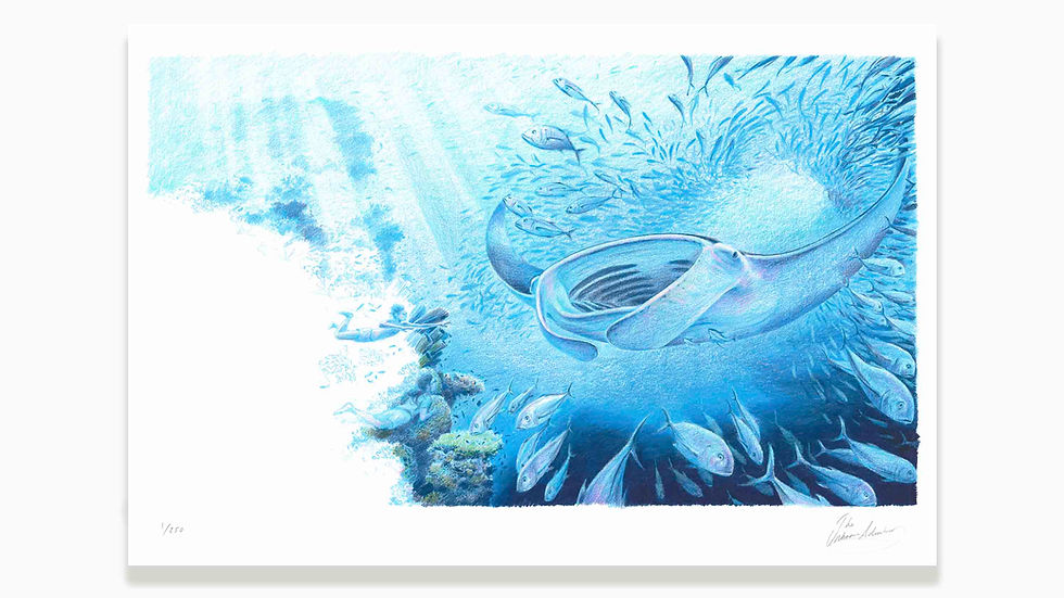 Manta_print