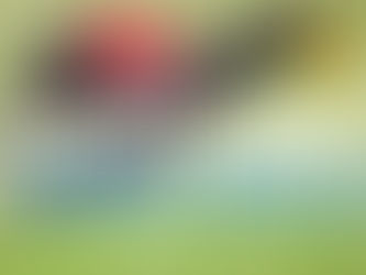 Neues Webseiten Design online