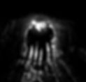 silhouettes-808153_klein.jpg