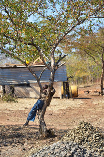 DSC_1999 F2_copy.jpg