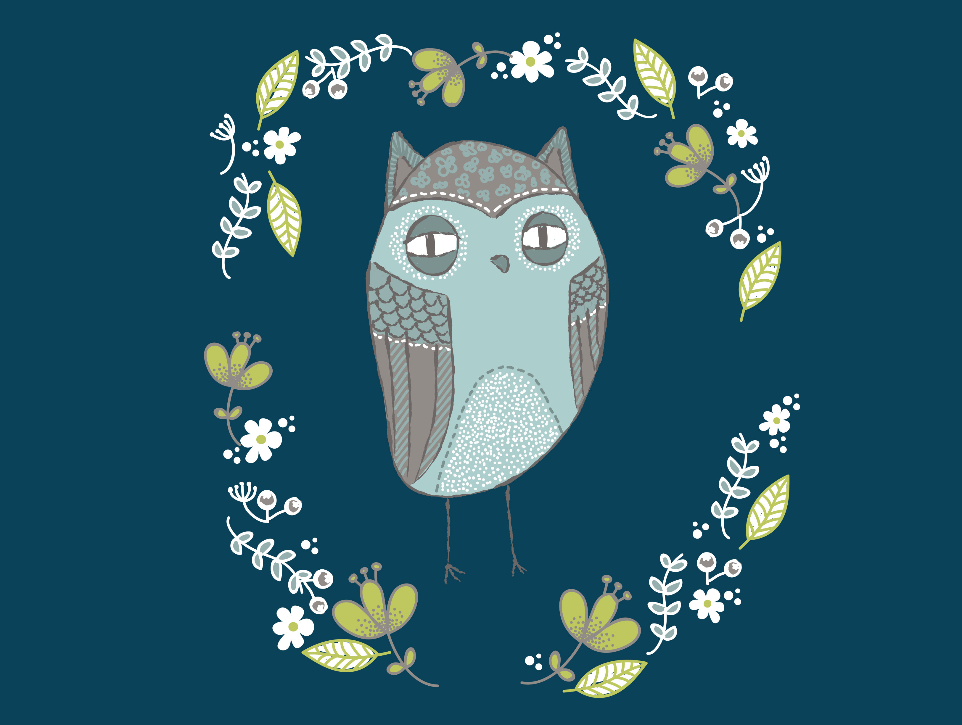 Eule Illustration