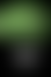 El "sello Polanski" constituye el terror más posible, mírese por donde se mire.