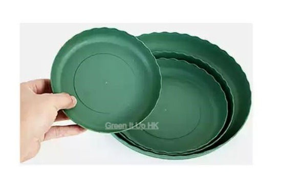 Thumbnail: High Quality Short Green Pot 高質量綠色矮花盆