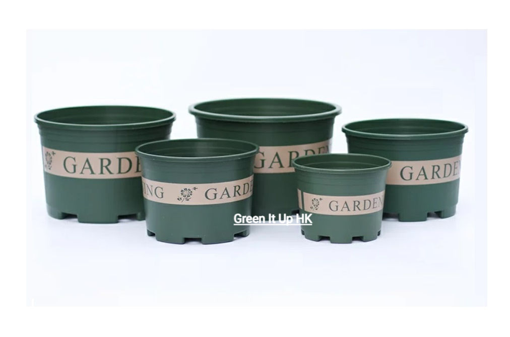 High Quality Short Green Pot 高質量綠色矮花盆
