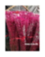 Thumbnail: Pussy Willow 銀柳