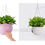 Thumbnail: High Quality Hanging Basket Planter  高質量塑料懸挂花籃