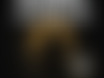 The Mindset of a Gatekeeper