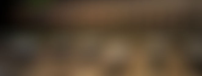 Update on the single release