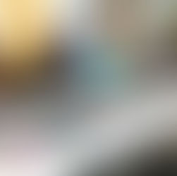 NDC Welcomes Italian Guests for  ZeroThreshold Presentation