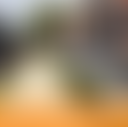 NDC Releases Survey to Understand Impact of COVID-19 on Outdoor Spaces