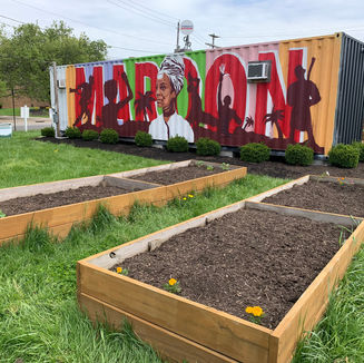 Parcels to Places: Where are they now?