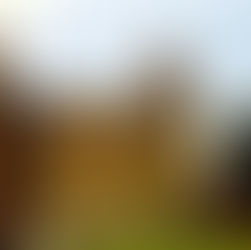 Hilltop Employment in the 1970s