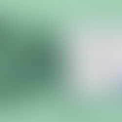 The Blue Book: A directory of Columbus’ elite