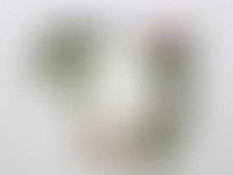 The Pressure of Perfectionism