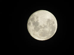 IMG_8332.JPG