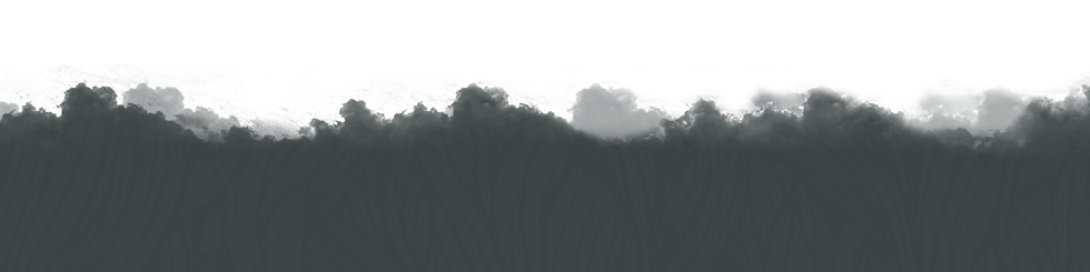 Slice 2 (5).png