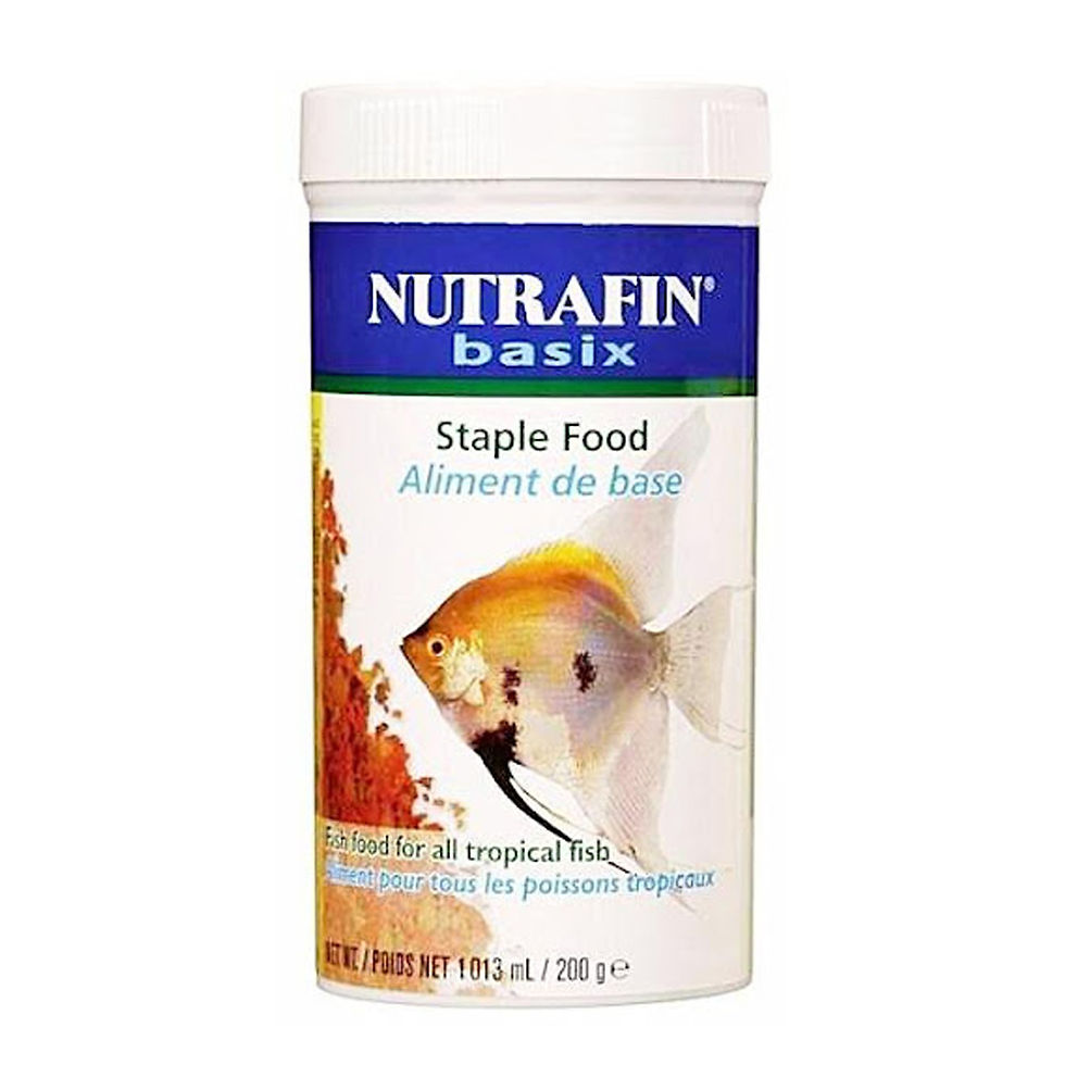 Nutrafin Basix Staple Food Para Pez Tropical