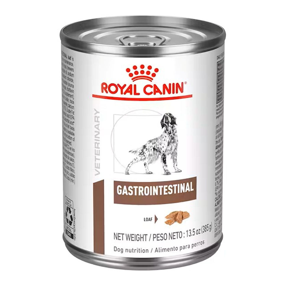 Royal Canin Lata Gastrointestinal Perro - 400g