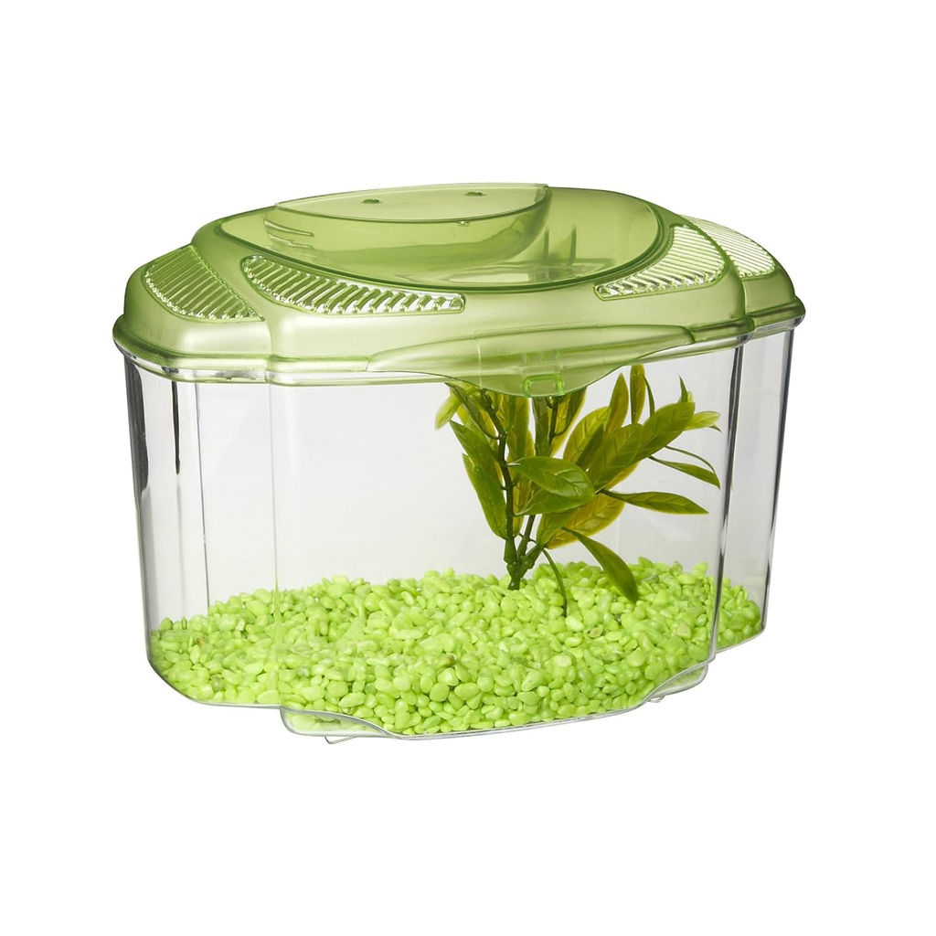 Betta Kit - 1.84 Lit