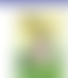 Yoga Gives BackのAmbassadorになりました