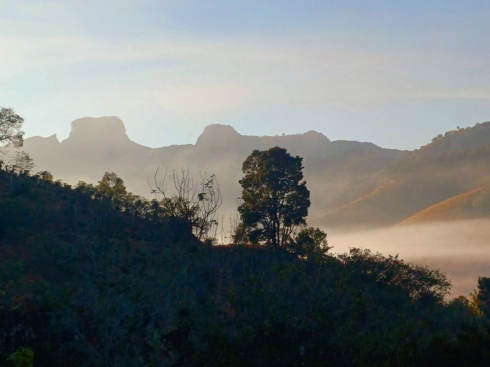 Amanhecer na Fraga