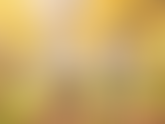 Active seniors riding bikes in autumn nature