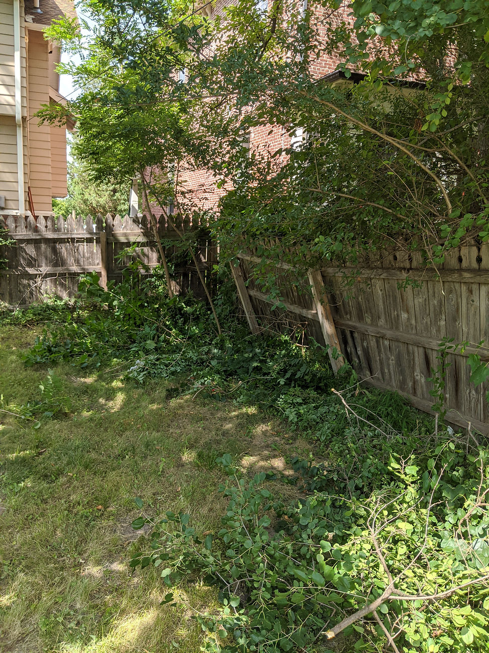 BEFORE CLEANUP