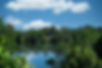 DSC06019.jpeg