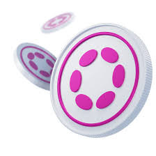What is Polkadot?