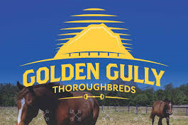 Golden Gully