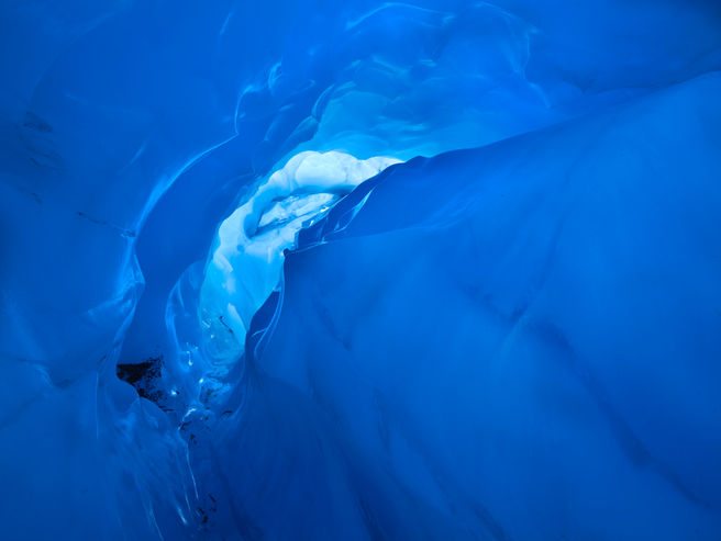Fox GlacierCF000387.jpg