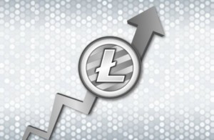What crypto to invest in now