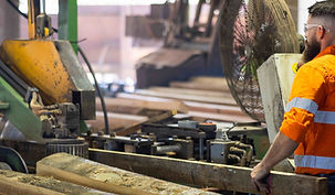 MANUFACTURING (SUSTAINABLE FORESTRY MANAGEMENT)_edited_edited_edited.jpg