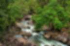 Tully Gorge