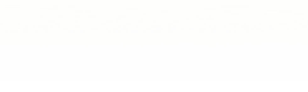 White to transparent top to bottom 2.png