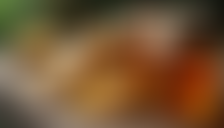 The Mysterious Benefits of Ginseng Honey Tea You May Not Know About