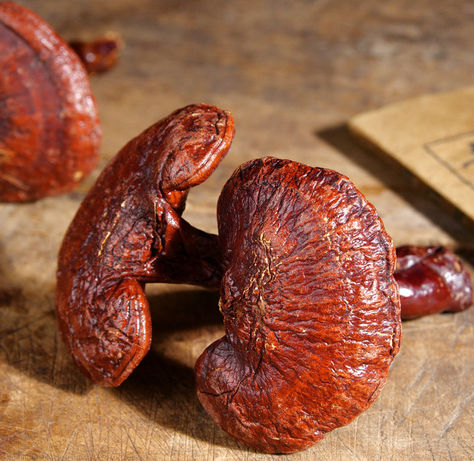 Unlocking the Benefits of Reishi Mushroom Coffee for Mindful Wellness