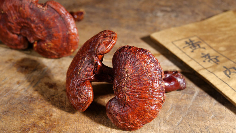 Unlocking the Benefits of Reishi Mushroom Coffee for Mindful Wellness