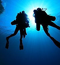 Silhouette of Scuba Divers