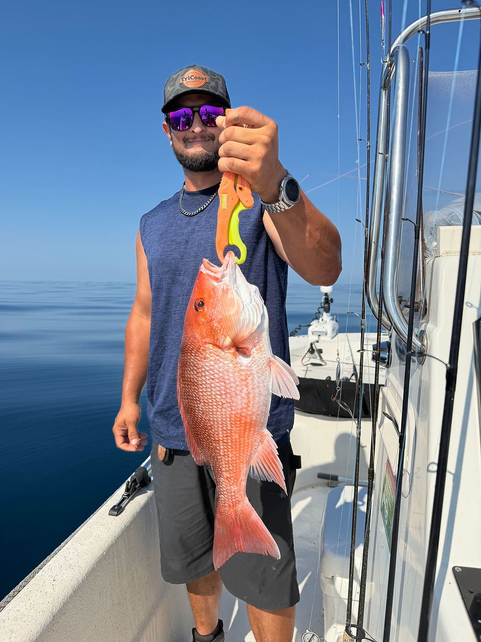 Aug 2026 Big red snapper.