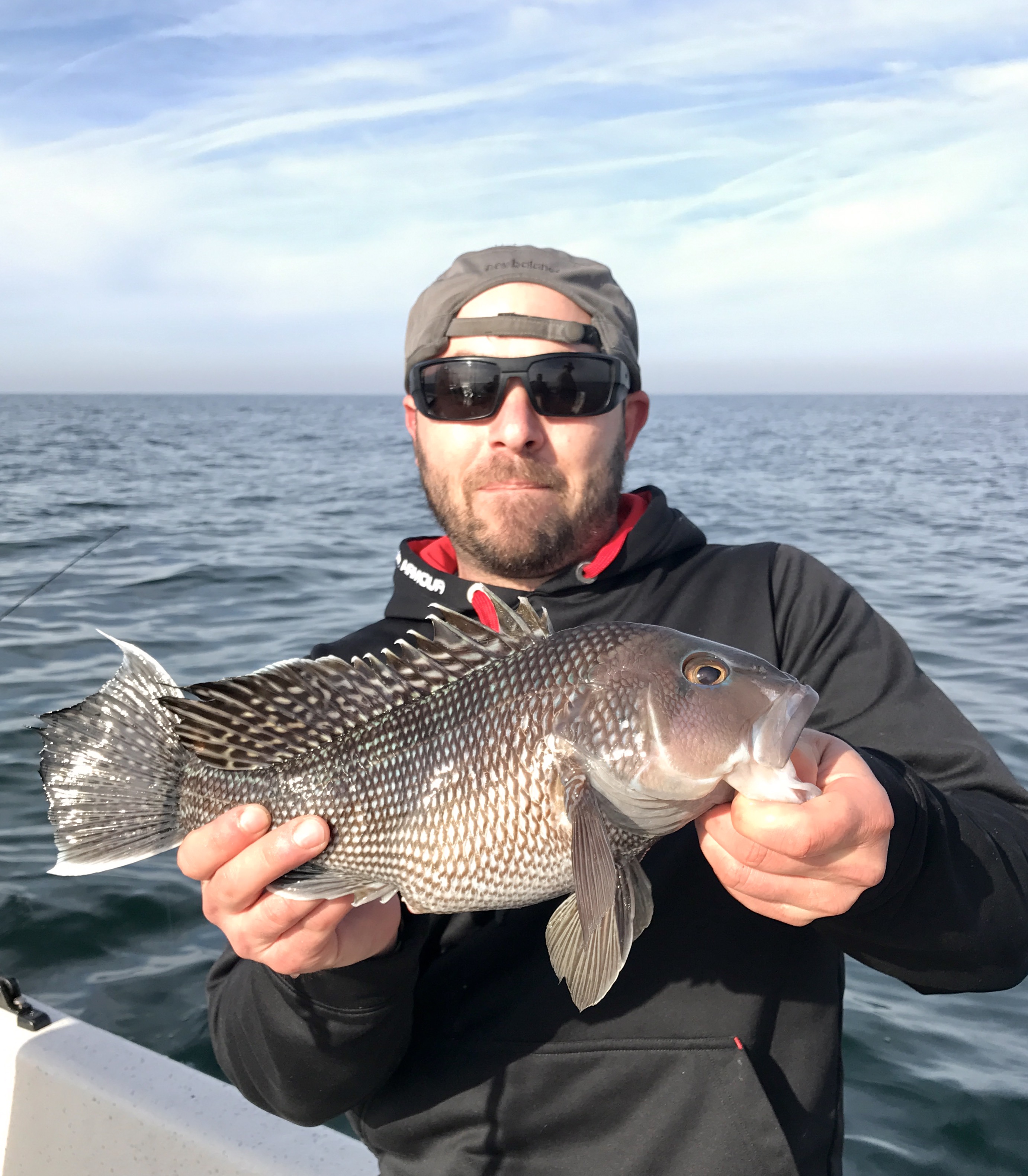 Nice Black Sea bass Jan 2017
