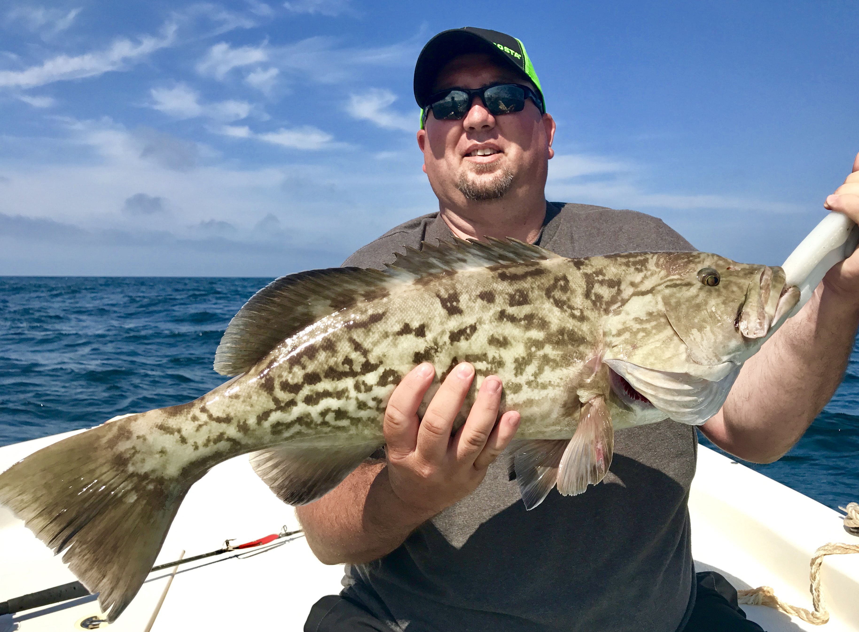 nice grouper May 2017