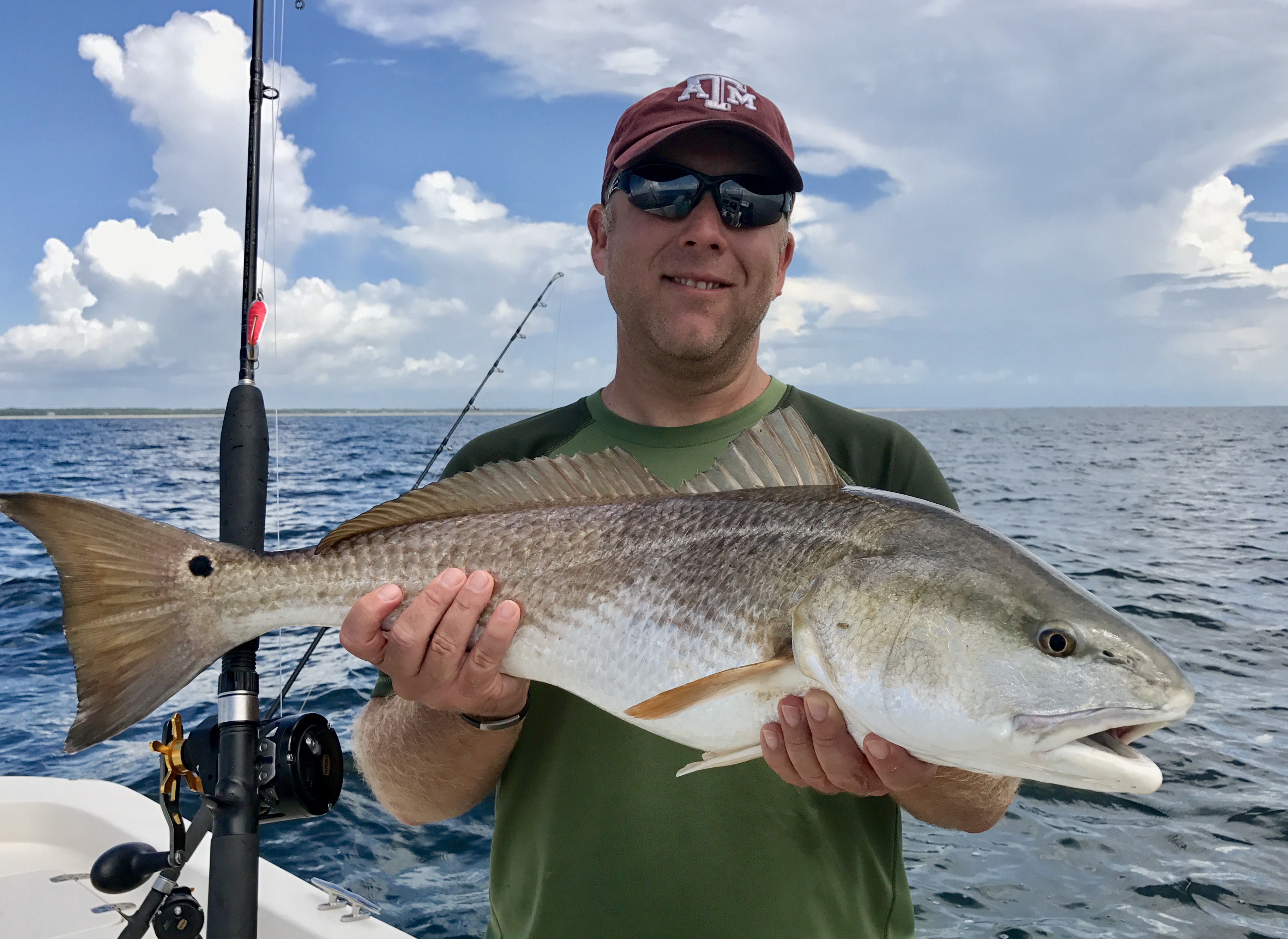 Beautiful drum Aug 2017