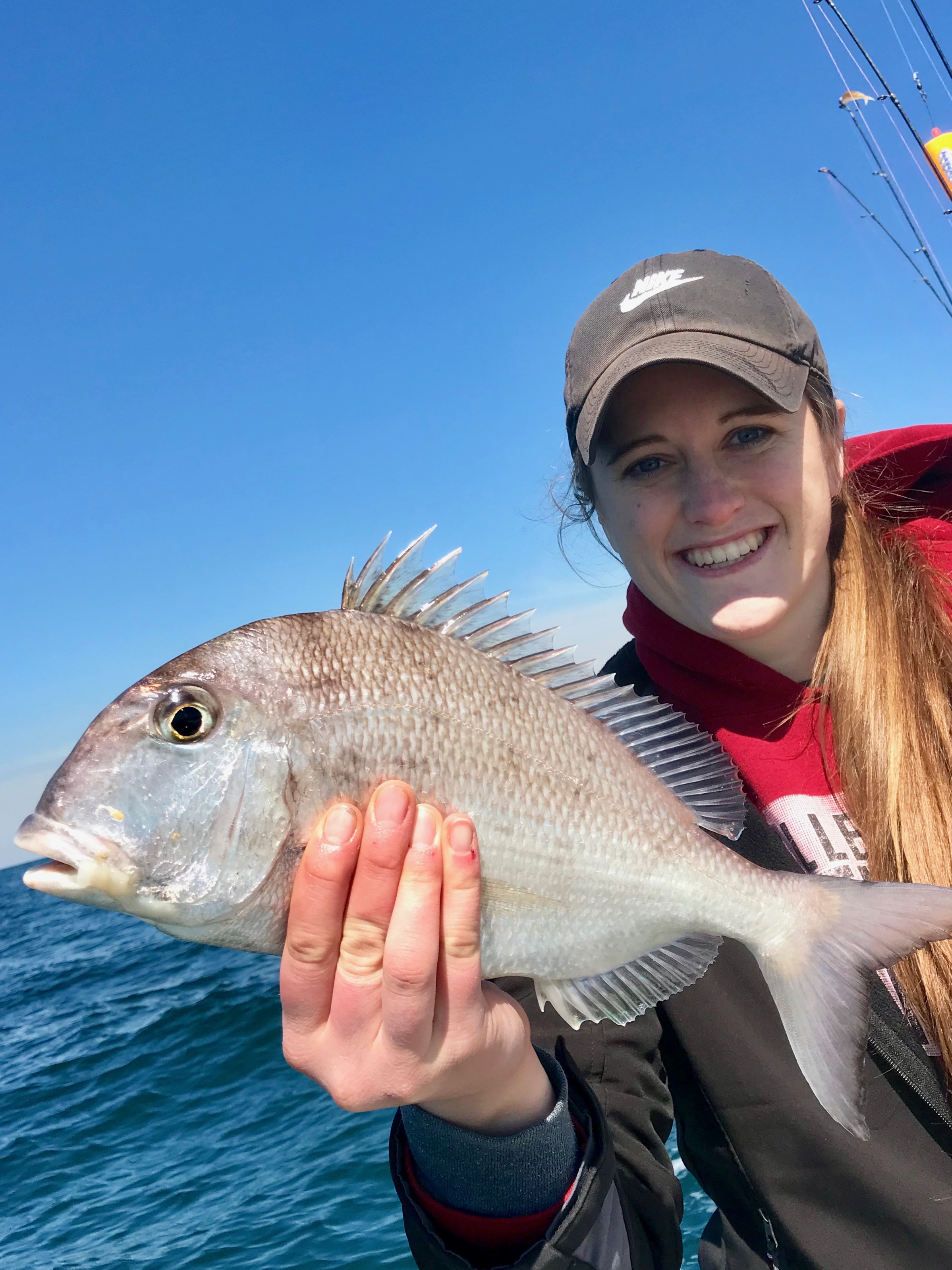 Spring 2019 jolthead porgy