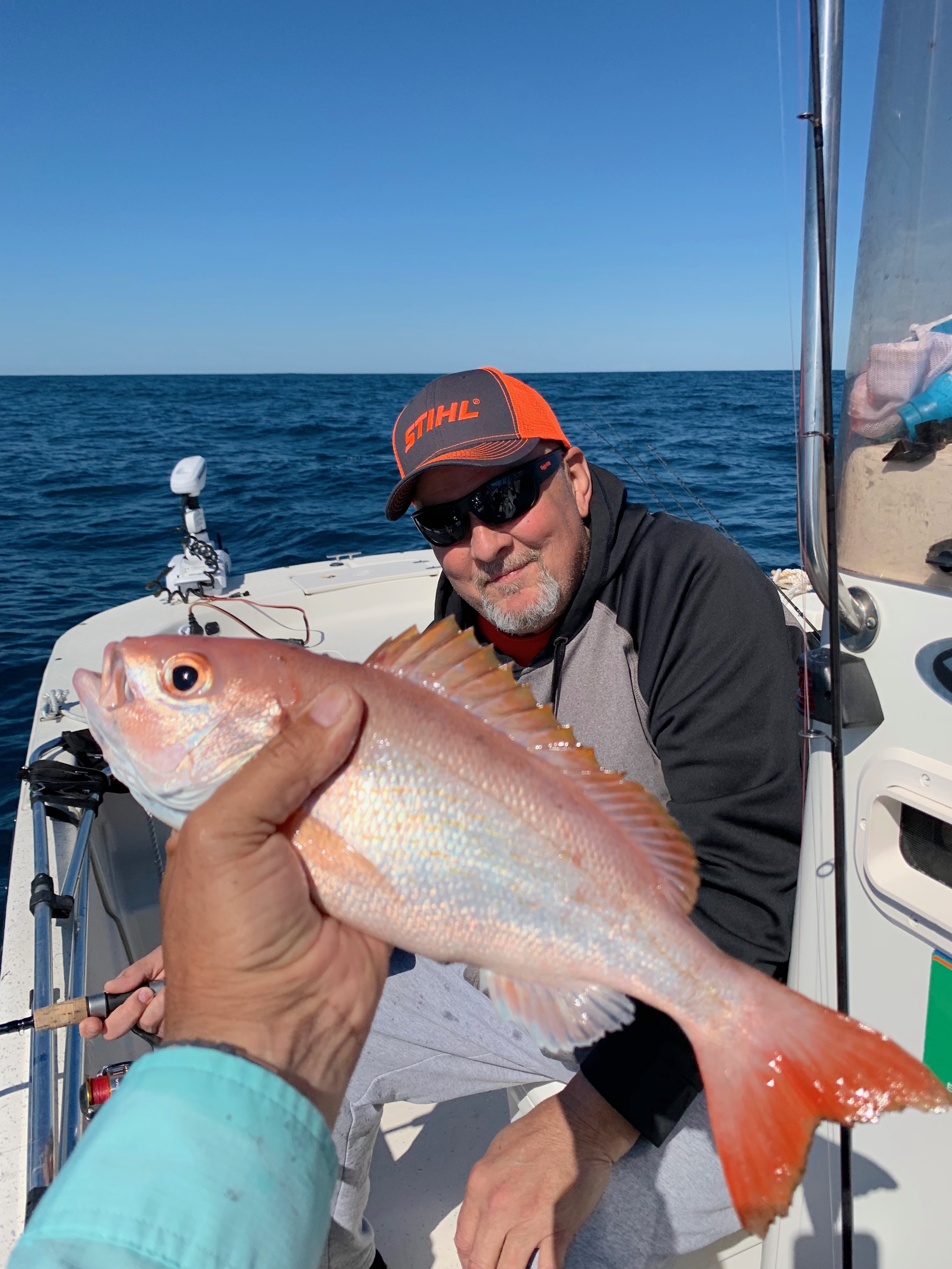 Vermillion Snapper 2019