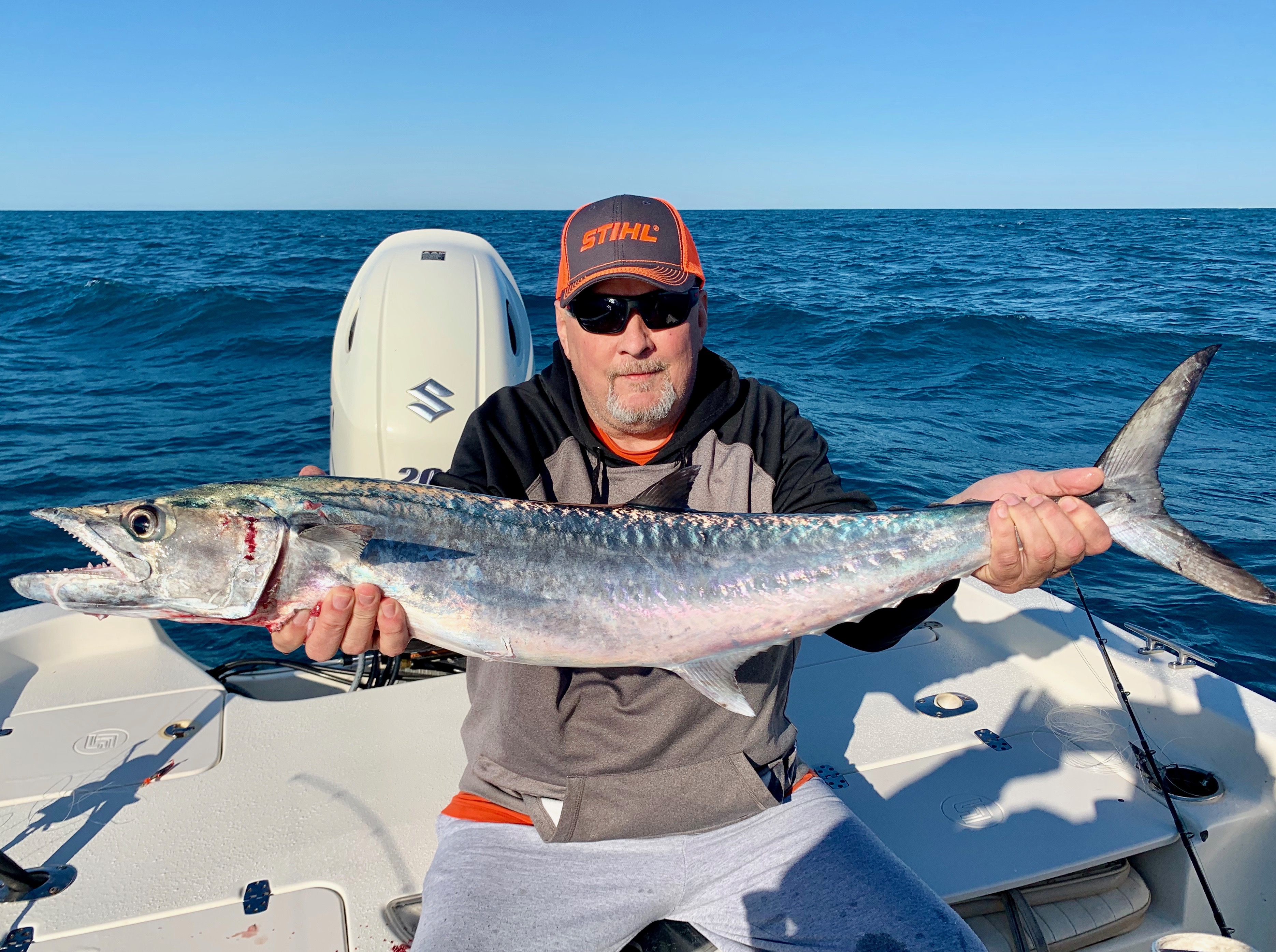 King Mackerel