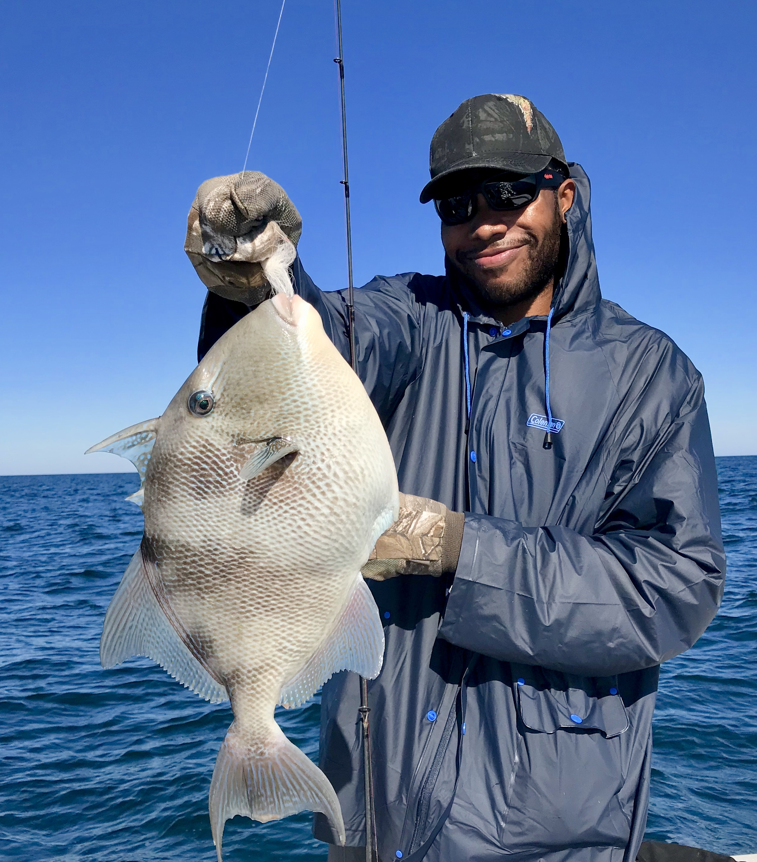 A big triggerfish Oct 2017