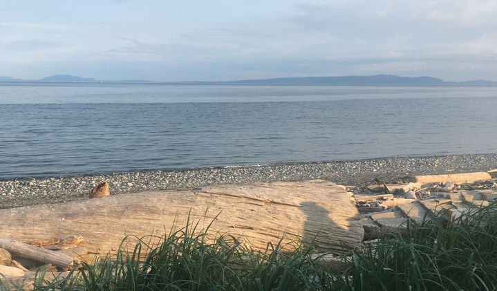 Beach - Point Roberts