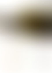 LE STAGIONI DEL NOSTRO AMORE