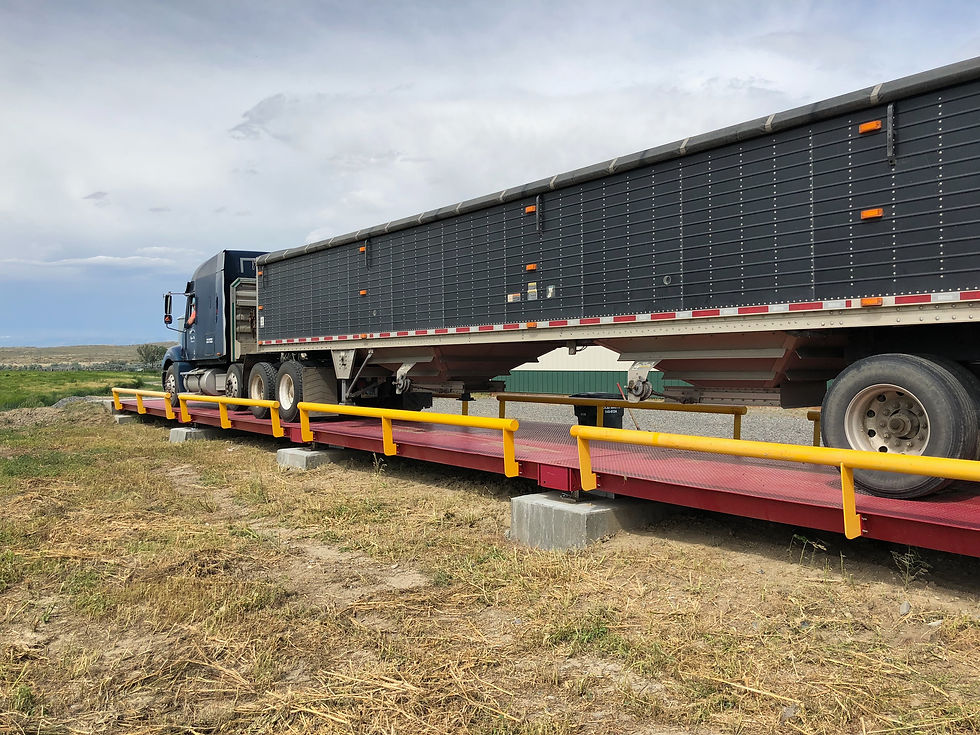 Thumbnail: Truck Scale | Heavy-Duty | weigh in motion